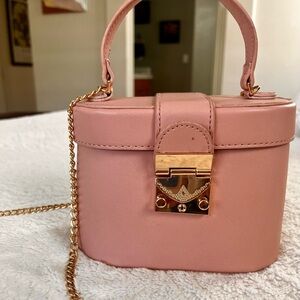 Pink Oval Mini Bag with Gold Chain